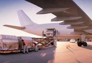 what-types-of-cargo-are-transported-by-air