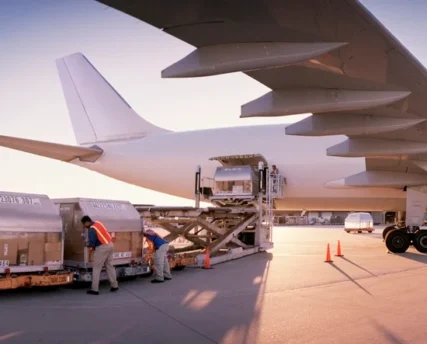 what-types-of-cargo-are-transported-by-air